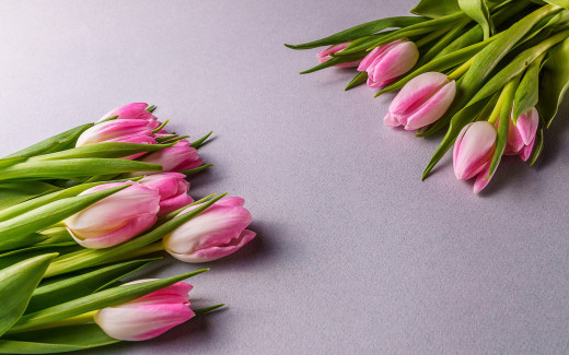 1465945 (a): :2560x1600